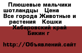 Плюшевые мальчики шотландцы › Цена ­ 500 - Все города Животные и растения » Кошки   . Хабаровский край,Бикин г.